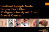 Suen PY North District Hospital Sentinel Lymph Node Biopsy For Other Malignancies Apart From Breast Cancer.