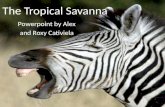 The Tropical Savanna Powerpoint by Alex and Roxy Cativiela