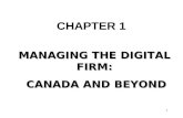 1 MANAGING THE DIGITAL FIRM: CANADA AND BEYOND CANADA AND BEYOND CHAPTER 1.
