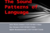 1.Selvi Risma Andani (125110100111002) 2.Nur Fitriani (125110100111006) 3.Afifah Mudawwamah (125110100111020) The Sound Patterns of Language.