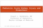 Stuart L. Goldstein, MD Professor of Pediatrics Baylor College of Medicine Pediatric Acute Kidney Injury and Biomarkers 6th PCRRT Conference, Rome 2010.