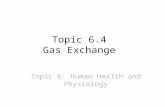 Topic 6.4 Gas Exchange Topic 6: Human Health and Physiology.