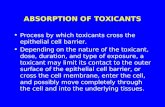 ABSORPTION OF TOXICANTS Process by which toxicants cross the epithelial cell barrier. Depending on the nature of the toxicant, dose, duration, and type.