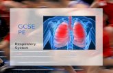 GCSE PE Respiratory System TASK….. EXPLAIN IN YOUR OWN WORDS HOW THE RESPIRATORY SYSTEM WORKS.