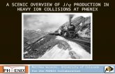 A SCENIC OVERVIEW OF J/  PRODUCTION IN HEAVY ION COLLISIONS AT PHENIX Matthew Wysocki, University of Colorado For the PHENIX Collaboration.