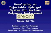 Developing an Injectable Hydrogel System for Nucleus Pulposus Replacement Jeremy Griffin Mentor: Jennifer Vernengo Advisor: Dr. Tony Lowman Department.