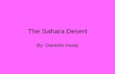 The Sahara Desert By: Danielle Healy. How big is the Sahara? What percent of Africa does it cover The Sahara is 3.3 million square miles. The Sahara covers.
