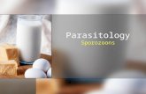 Parasitology Sporozoons. Parasitology/Sporozoons (3 hours) 1.Defines “Sporozoon’’ 1.1 Lists the sporozoon classification. 1.2. Defines the cell structure.
