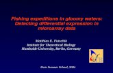 Fishing expeditions in gloomy waters: Detecting differential expression in microarray data Matthias E. Futschik Institute for Theoretical Biology Humboldt-University,