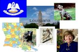 Louisiana. Flag In the flag there is a group of pelicans It is white and gold (the flag) It also has the state motto “Union, Justice, and Confidence”