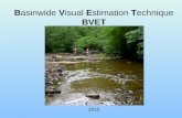 Basinwide Visual Estimation Technique BVET 2015. What is BVET? Stream habitat inventory method –Hankin and Reeves (1988) –Dolloff et al. (1993) A two-stage.