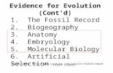 Evidence for Evolution (Cont’d) 1. The Fossil Record 2. Biogeography 3. Anatomy 4. Embryology 5. Molecular Biology 6. Artificial Selection (last class)