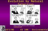 Evolution by Natural Selection 10/2/06 ES 100: Environmental Ecology fsteiger/cartoon2.gif.