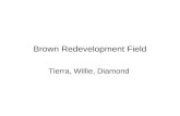Brown Redevelopment Field Tierra, Willie, Diamond.