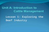 Lesson 1: Exploring the Beef Industry 1. Terms  Cattle feeders  Conformation  Cow-calf operation  Cutability  Demand  Dual-purpose breed  desirable.