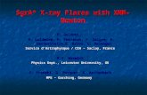 SgrA* X-ray Flares with XMM-Newton P. Goldoni, A. Goldwurm, P. Ferrando, F. Daigne, A. Decourchelle,E. Brion, G. Belanger A. Goldwurm, P. Ferrando, F.
