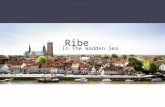 Ribe In The Wadden Sea. Peter’s Christmas Experience old fashion christmas in Ribe. 1st december! Small plays around the city. Who’s Peter?