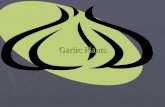 Garlic Plants. Big Question ► Will garlic grow faster in potting soil or compost. ► I thought of this question because I was wondering witch garlic will.