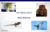 AP Biology AP BIOLOGY BIG IDEAS. AP Biology BIG IDEA #1 The process of evolution drives the diversity and unity of life. ENDURING UNDERSTANDINGS 1A –