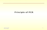 Principle of PCR Prof. Dr. Baron 1 Principle of PCR.