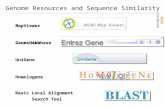 NCBI FieldGuide MapViewer Genome Resources and Sequence SimilarityLocusLink UniGene Homologene Basic Local Alignment Search Tool Gene database.