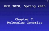 435 MCB 3020, Spring 2005 Chapter 7: Molecular Genetics.