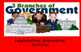 Legislative, Executive, Judicial ? Essential Questions ? What is government? Why is it important? What are rules and laws? What do presidents, governors,