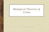 Biological Theories of Crime. Biological Theories Biological theories tended towards seeing crime as a form of illness, caused by pathological factors.