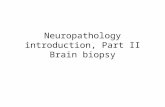 Neuropathology introduction, Part II Brain biopsy.
