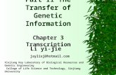 Part II The Transfer of Genetic Information Chapter 3 Transcription Xinjiang Key Laboratory of Biological Resources and Genetic Engineering College of.