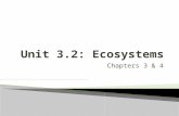 Chapters 3 & 4  Anchor: BIO.B.4.2: Describe interactions and relationships in an ecosystem ◦ BIO.B.4.2.1: Describe how energy flows through an ecosystem.