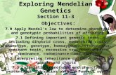 Exploring Mendelian Genetics Section 11-3 Objectives: 7.0 Apply Mendel's law to determine phenotypic and genotypic probabilities of offspring. 7.1 Defining.