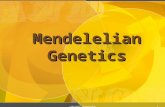 1 Mendelelian Genetics copyright cmassengale Jumbo Genetics Combo Powerpoint for Regular Biology See Genetics Powerpoint for AP Biology to Borrow Some.