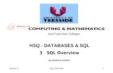 Section 3SQL Overview1 HSQ - DATABASES & SQL And Franchise Colleges 3 SQL Overview By MANSHA NAWAZ.
