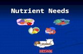 Nutrient Needs. The study of how your body uses the food you eat. Nutrition.