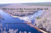 The Future of the Suwannee River Sill A Review and Update S.B. Aicher – USFWS, Okefenokee NWR.