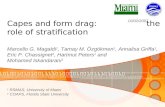 Capes and form drag: the role of stratification Marcello G. Magaldi 1, Tamay M. Özgökmen 1, Annalisa Griffa 1, Eric P. Chassignet 2, Hartmut Peters 1 and.