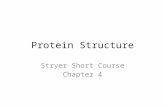 Protein Structure Stryer Short Course Chapter 4. Peptide bonds Amide bond Primary structure N- and C-terminus Condensation and hydrolysis.