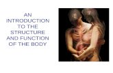 AN INTRODUCTION TO THE STRUCTURE AND FUNCTION OF THE BODY.
