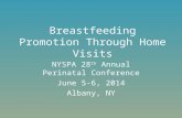 Breastfeeding Promotion Through Home Visits NYSPA 28 th Annual Perinatal Conference June 5-6, 2014 Albany, NY.