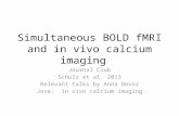 Simultaneous BOLD fMRI and in vivo calcium imaging Journal Club Schulz et al. 2013 Relevant talks by Anna Devor Jove: in vivo calcium imaging.