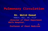 Pulmonary Circulation Dr. Walid Daoud MBBCh, MSc, MD, FCCP Director of Chest Department, Shifa Hospital, A. Professor of Chest Medicine