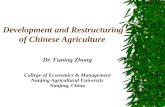 Development and Restructuring of Chinese Agriculture Dr. Funing Zhong College of Economics & Management Nanjing Agricultural University Nanjing, China.