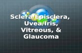 Sclera/Episclera, Uvea/Iris, Vitreous, & Glaucoma.