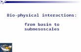 Bio-physical interactions: from basin to submesoscales.
