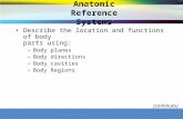 © 2013 Delmar, Cengage Learning. All Rights Reserved Anatomic Reference Systems Describe the location and functions of body parts using: –Body planes –Body.