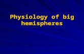 Physiology of big hemispheres. FUNCTIONS OF THE BASAL GANGLIA These ganglia perform essentially all the motor functions, even controlling the voluntary.