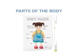 Body Systems All the parts of your body are composed of individual units called cells. Examples are muscle, nerve, skin (epithelial), and bone cells.