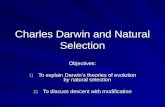 Charles Darwin and Natural Selection Objectives: 1) To explain Darwin’s theories of evolution by natural selection 2) To discuss descent with modification.