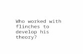 Who worked with flinches to develop his theory?. Charles Darwin.